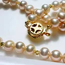 Clasp-Replacement